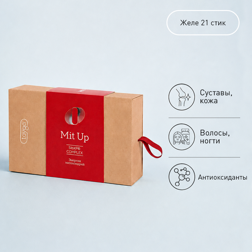MIT UP (KGZ)