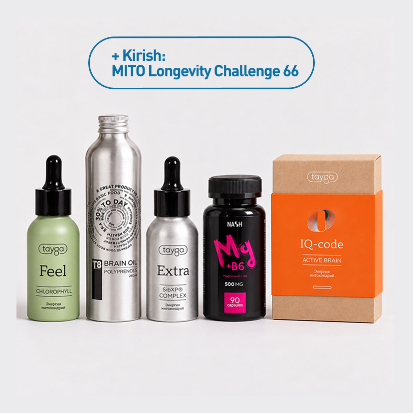 MITO FOCUS (MITO CHALLENGE) (eu)
